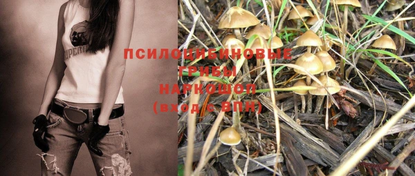 прущая мука Ладушкин