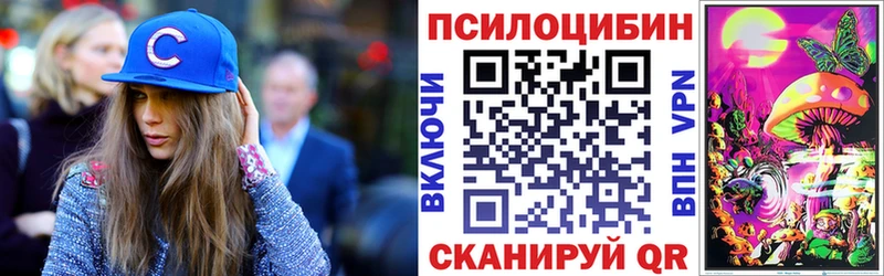 как найти   Пойковский  Галлюциногенные грибы Magic Shrooms 